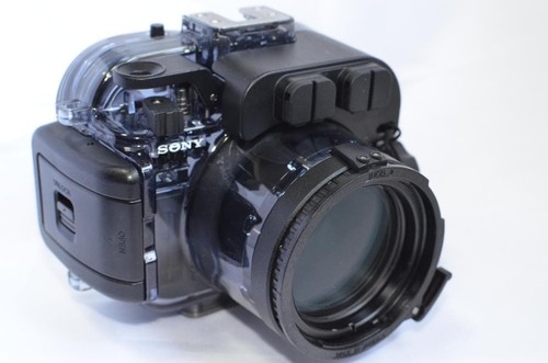 Custodia subacquea sony - custodia,